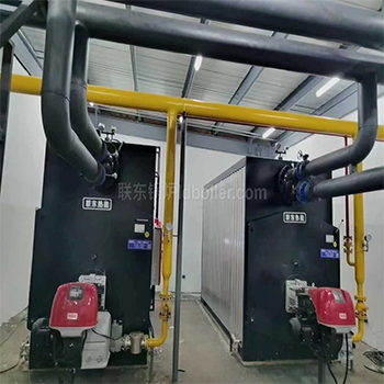 燃?xì)庹婵斟仩t(定制)  燃?xì)庹婵斟仩t(定制)